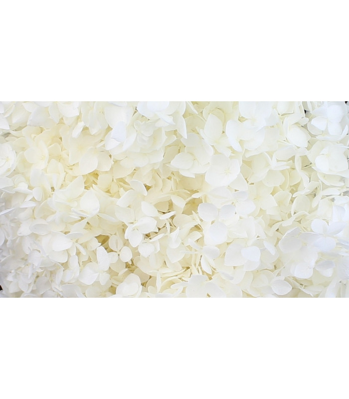 Preserved Hydrangea - Mini flower