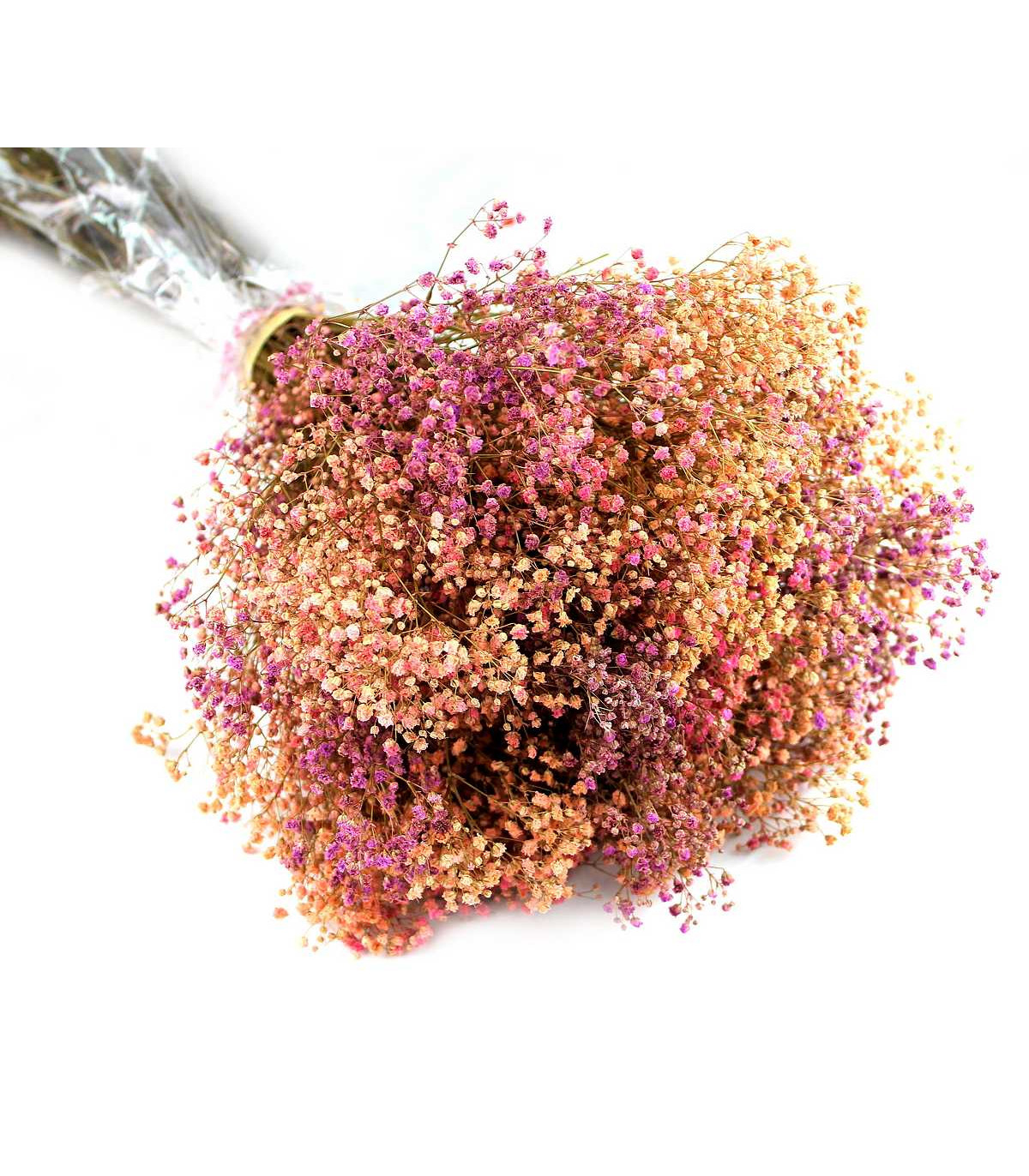 Ramo de paniculata preservada - Mix de colores - Flores Preservadas -  Materiales para tocados, Telas de calidad, Canotiers, Bobi