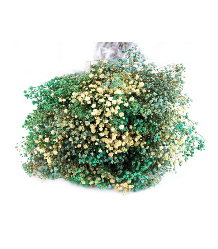 Preserved Paniculata Bouquet - Mix of Colors