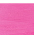 JINSIN 1ª CALIDAD 50 cm X 1 mt