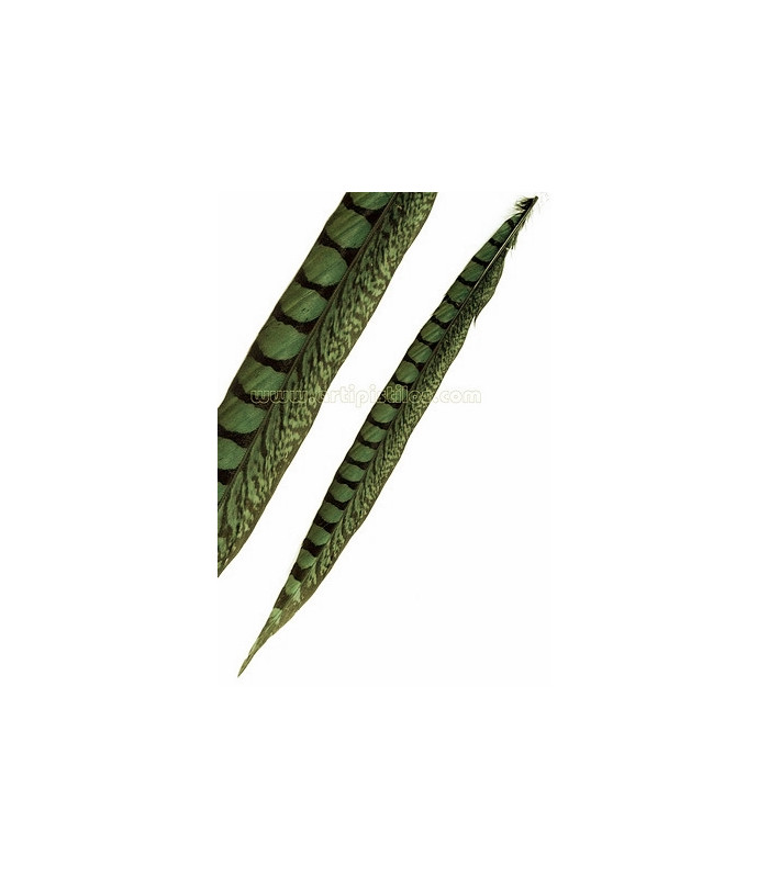 PHEASANT FEATHER LADY AMHERST 40-45 CMS.