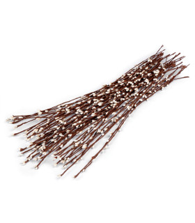 STAMEN BRANCH 39 CMS.