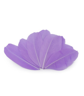 Penas de ganso 5,5 - 7 cm x 10 pcs