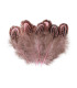 Saco de Plumas de Faisão 5-7cm de Comprimento