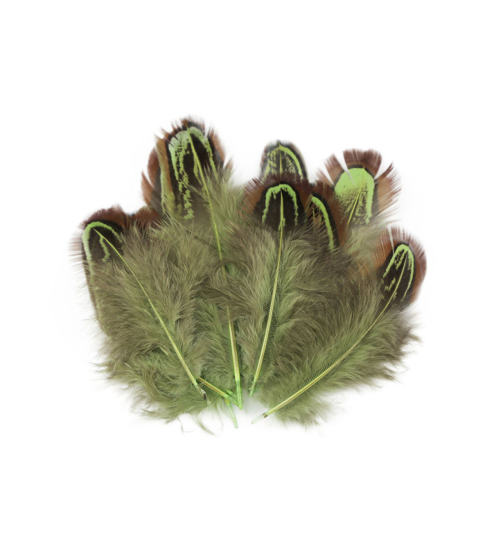 Bolsa de plumas de faisan 5-7 cm de largo