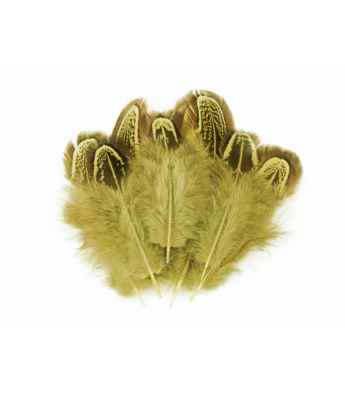 Bolsa de plumas de faisan 5-7 cm de largo
