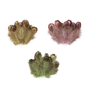 Bag of pheasant feathers 5-7cm long