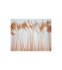STRIPPED COQUE FEATHER 25/30 CMS.