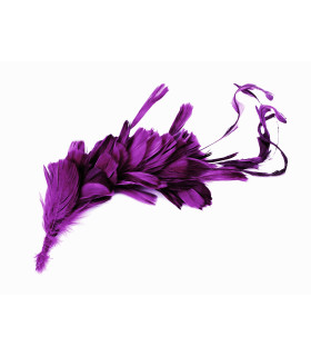 MONTAJE DE PLUMAS GALLO, ÁNADE Y OCA