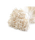 Pistilo mate 2 mm. em dois lados