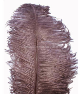 PLUMA DE AVESTRUZ 1ª CALIDAD / 50-55 cm