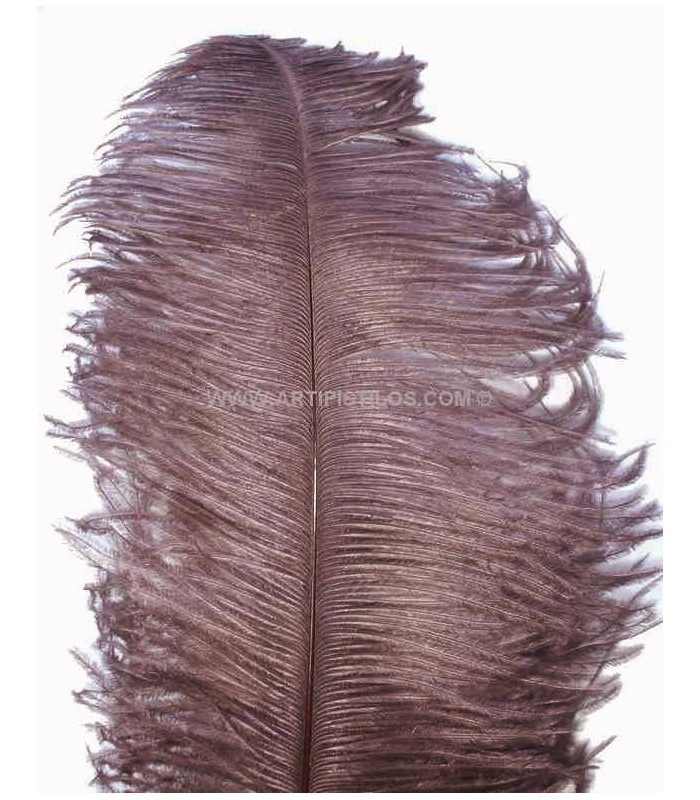 OSTRICH FEATHER FIRST QUALITY 50-55 CMS.