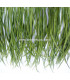 GOOSE BIOT FEATHER FIRST QUALITY -  10 CMS.