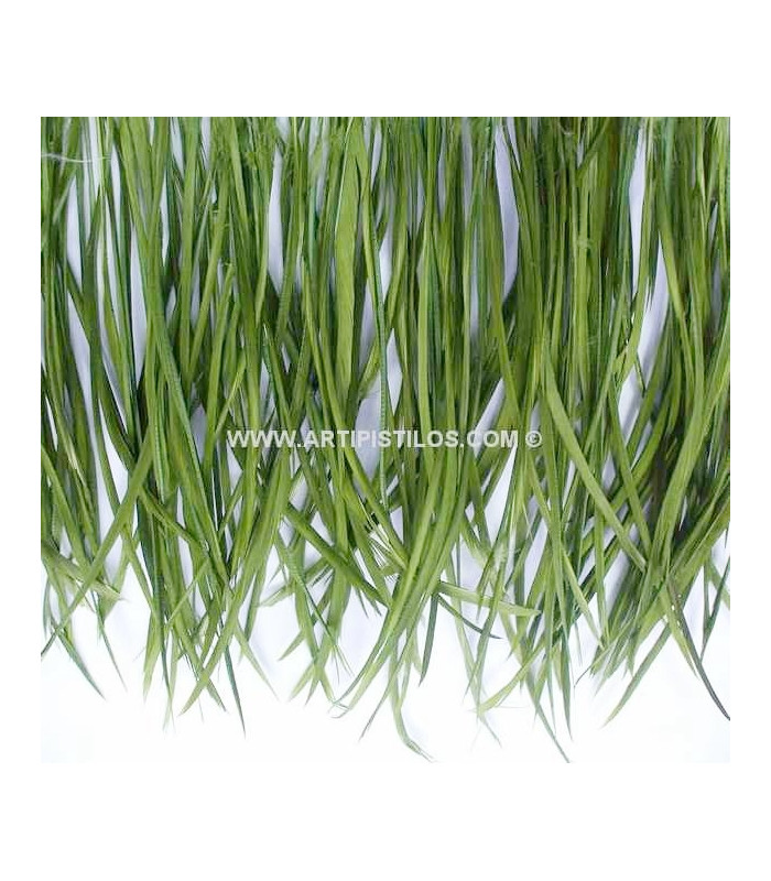 GOOSE BIOT FEATHER FIRST QUALITY -  10 CMS.