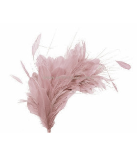 FEATHERS MOUNT 35 x 12 cm