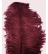 OSTRICH FEATHER FIRST QUALITY 50-55 CMS.