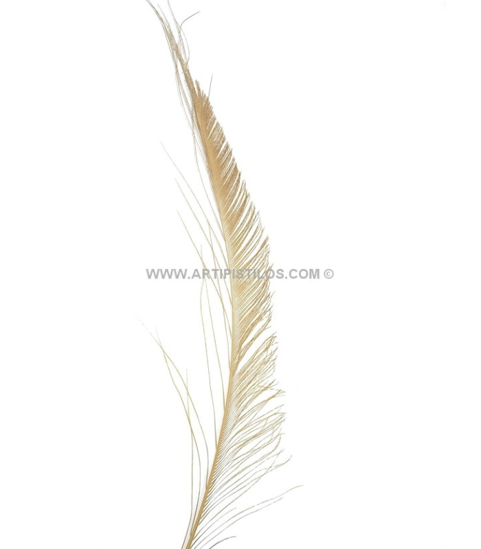 PEACOCK FEATHER SWORD 60 cm