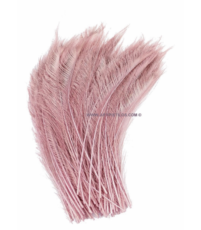 PEACOCK FEATHER SWORD 60 cm