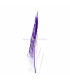 PLUMA PAVO REAL ESPADA 30 CMS.