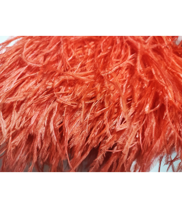 OSTRICH FEATHERS FRINGE - 2 PLY. FIRST QUALITY - 10 CMS.