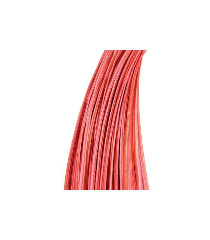 RAQUIS 51 - 56 cm