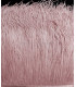 OSTRICH FEATHERS FRINGE - 2 PLY. FIRST QUALITY - 10 CMS.