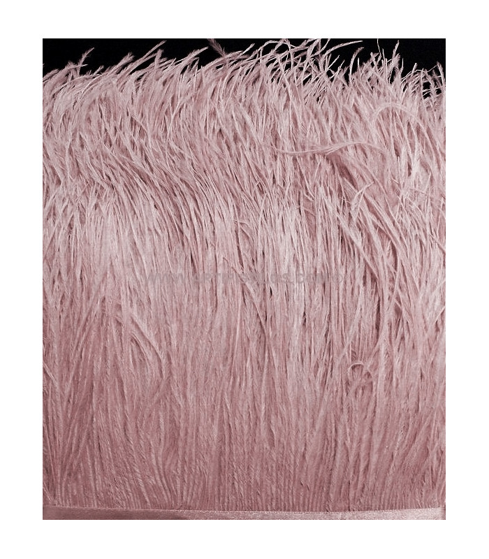 OSTRICH FEATHERS FRINGE - 2 PLY. FIRST QUALITY - 10 CMS.