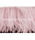 OSTRICH FEATHERS FRINGE - 2 PLY. FIRST QUALITY - 10 CMS.