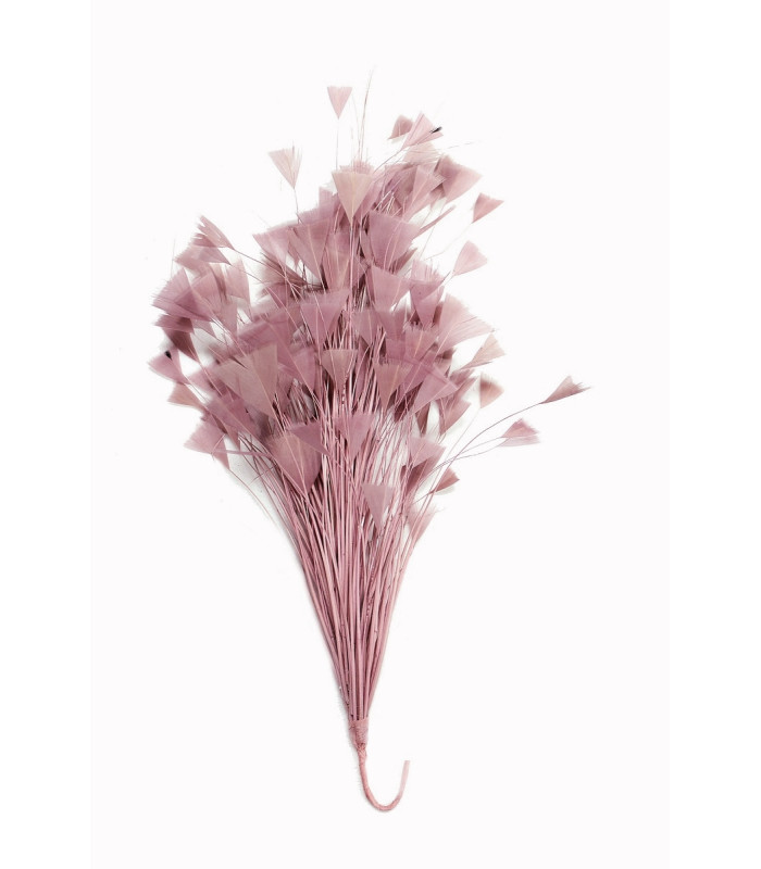 MONTAJE DE PLUMAS GALLO/AVESTRUZ 30 X 15 cm