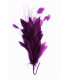 FEATHER MOUNT ROOSTER/OSTRICH/GOOSE