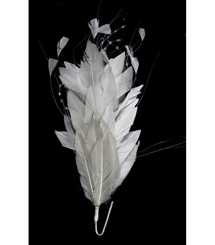 FEATHER MOUNT ROOSTER/OSTRICH/GOOSE