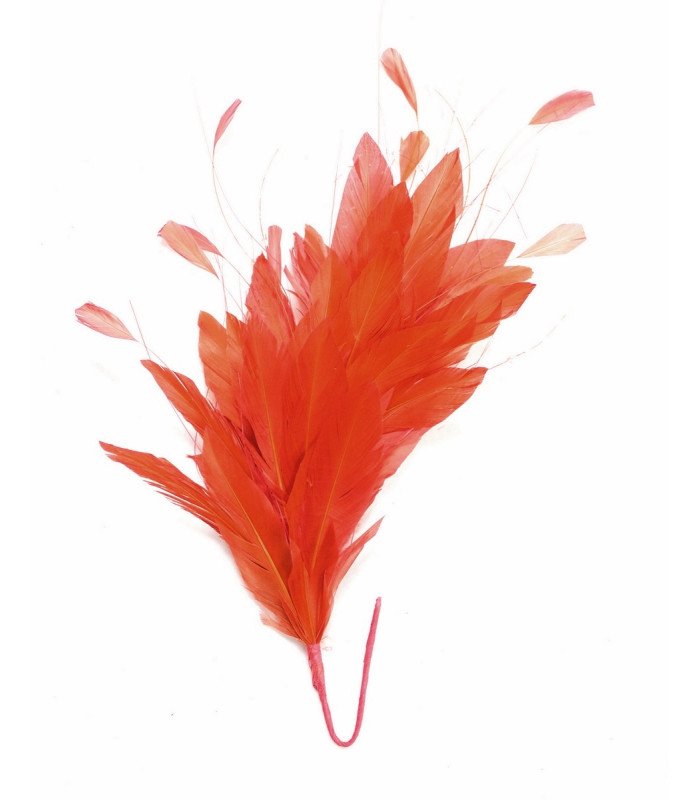 MONTAJE DE PLUMAS GALLO/AVESTRUZ QUEMADO/OCA RECORTADA