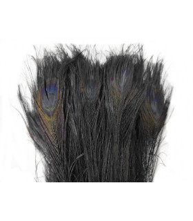 PLUMA DE PAVO REAL QUEMADA 30 CMS.