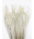 PLUMA DE PAVO REAL QUEMADA 30 CMS.