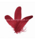 PLUMA DE OCA RASPADA 15 CMS.