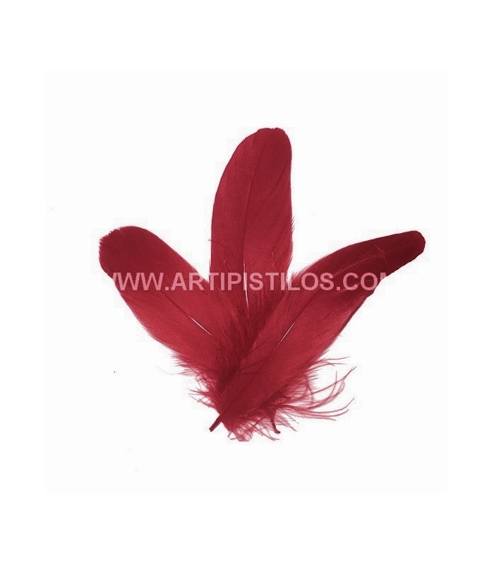PLUMA DE OCA RASPADA 15 CMS.