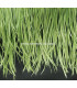 GOOSE BIOT FEATHER FIRST QUALITY -  10 CMS.