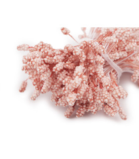 Feixe de estames de flores