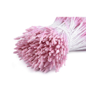 Conjunto de estames de flores opacas