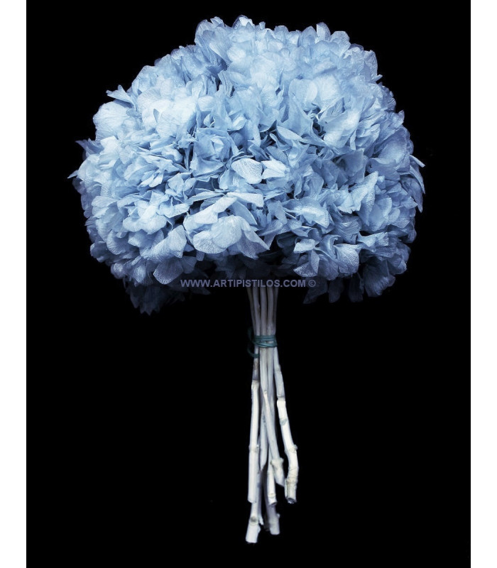 HORTENSIA PRESERVADA