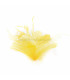 FEATHER MOUNT OF DUCK AND GOOSE BIOT
