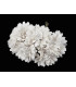 STRAUSS AUS 6 MINIBLUMEN AUS STOFF