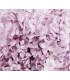 Preserved Hydrangea - Mini flower