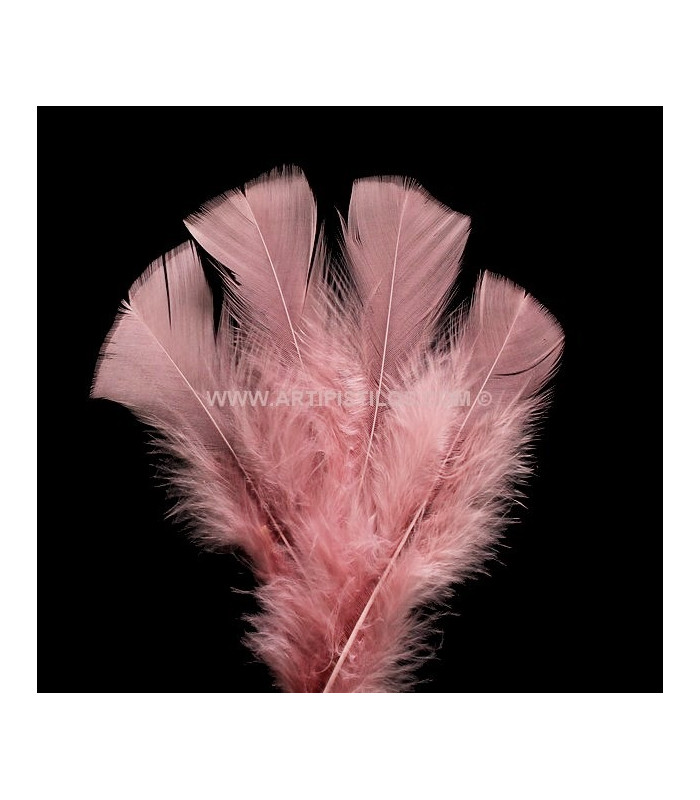 TURKEY FLAT FEATHERS PACKET