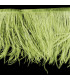 OSTRICH FEATHERS FRINGE - 2 PLY. FIRST QUALITY - 10 CMS.