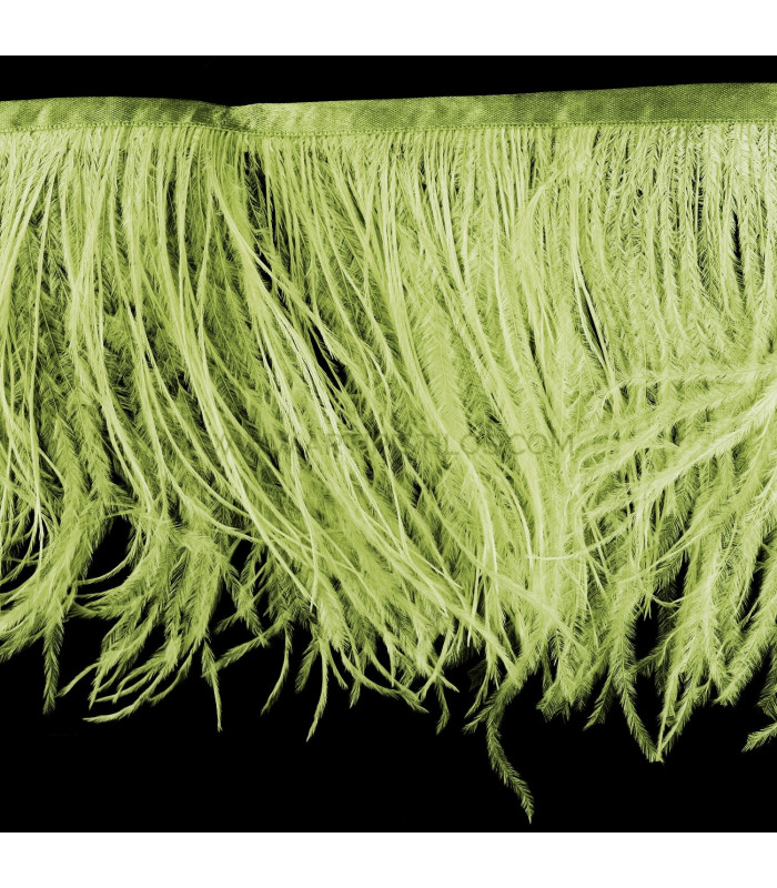 OSTRICH FEATHERS FRINGE - 2 PLY. FIRST QUALITY - 10 CMS.