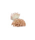 PEARLIZED STAMEN 2 SIDES