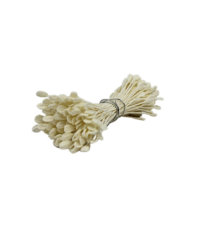 OAR STAMEN 2 SIDES IVORY