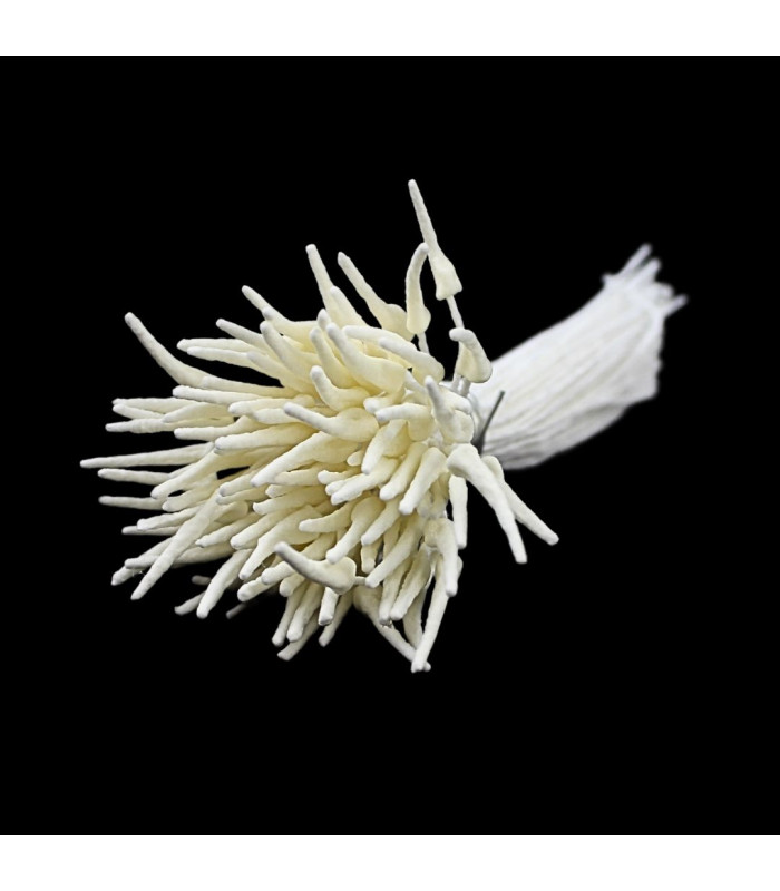 STAMENS