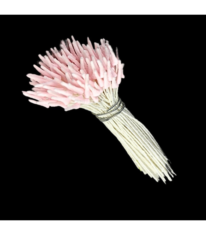 STAMENS